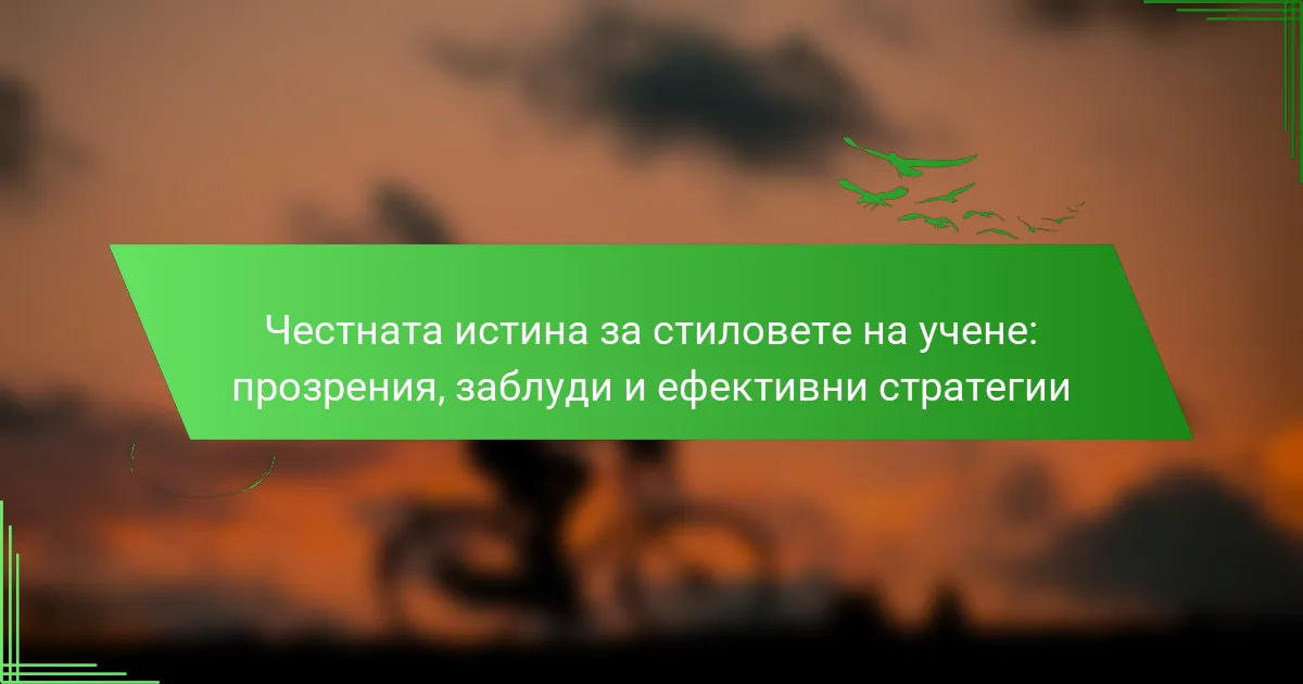 Честната истина за стиловете на учене: прозрения, заблуди и ефективни стратегии
