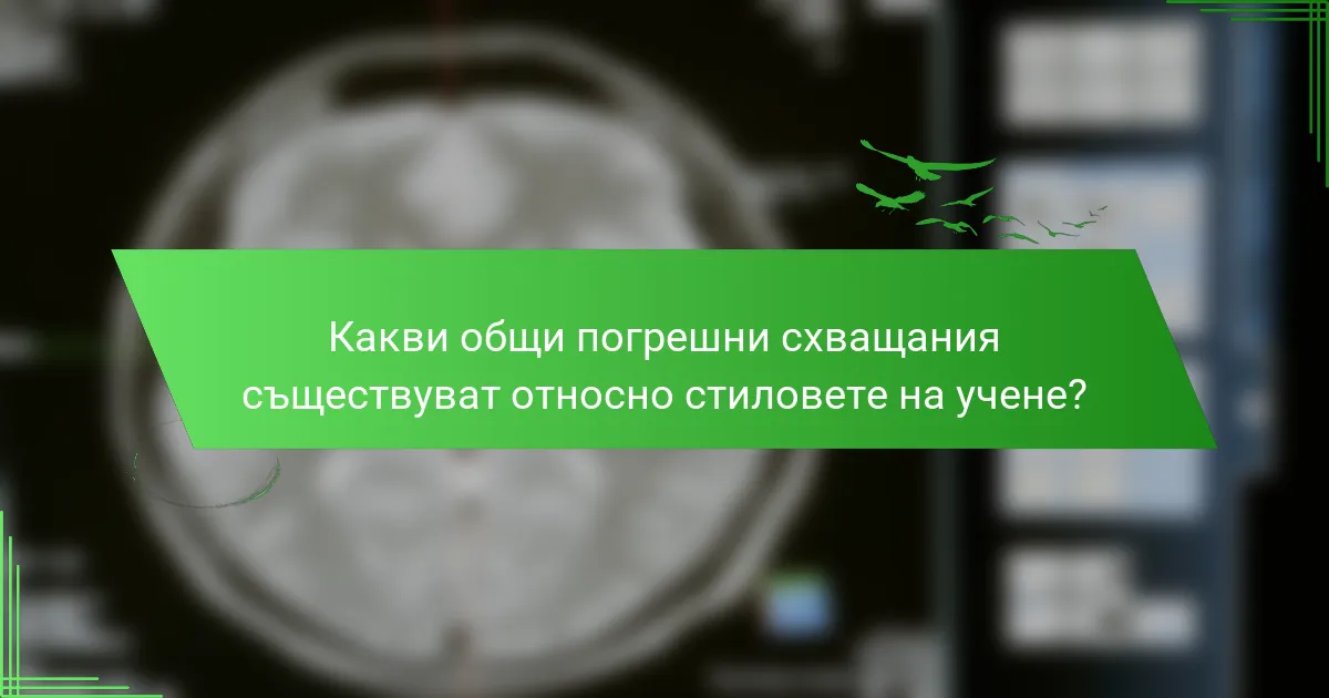 Какви общи погрешни схващания съществуват относно стиловете на учене?