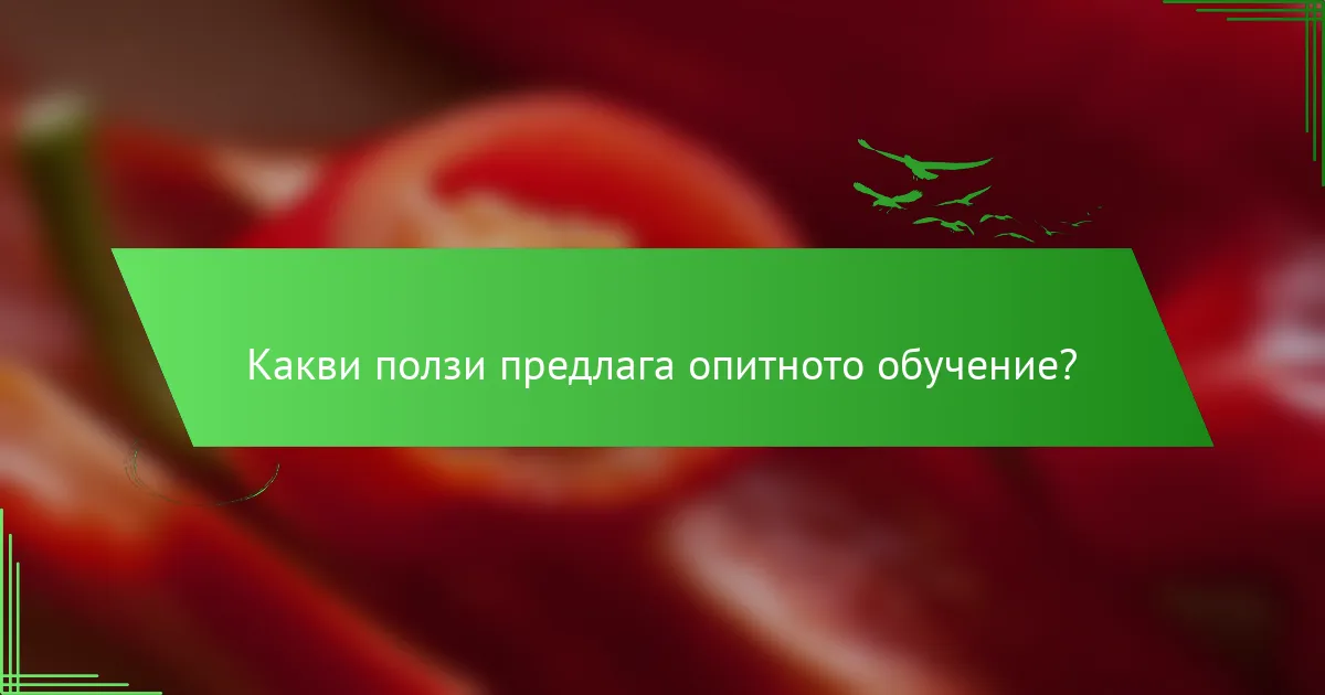 Какви ползи предлага опитното обучение?