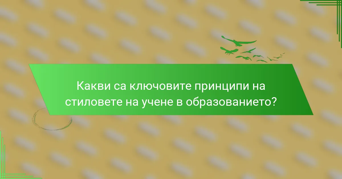 Какви са ключовите принципи на стиловете на учене в образованието?