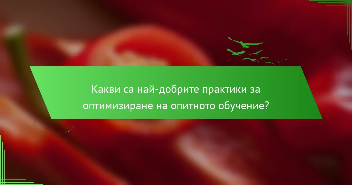 Какви са най-добрите практики за оптимизиране на опитното обучение?