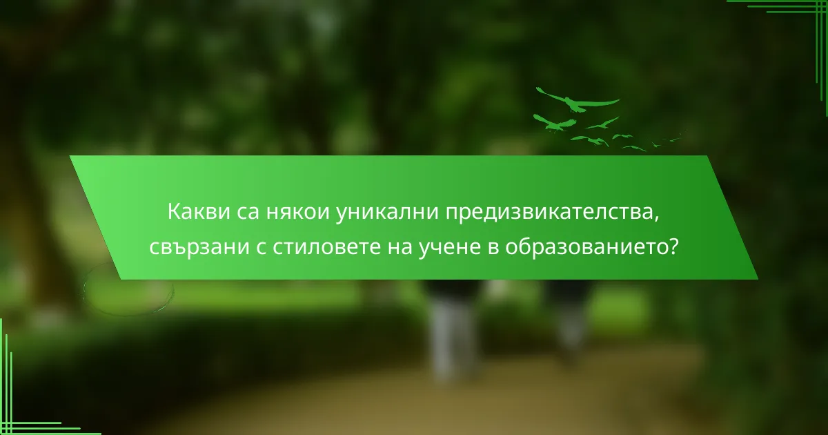 Какви са някои уникални предизвикателства, свързани с стиловете на учене в образованието?