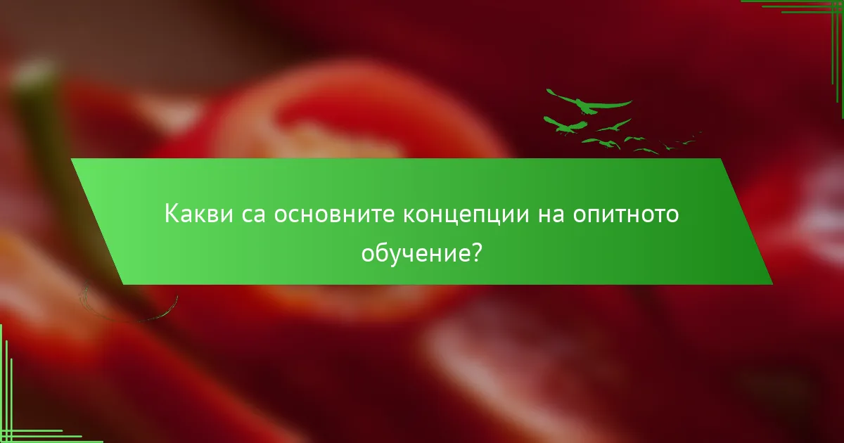Какви са основните концепции на опитното обучение?