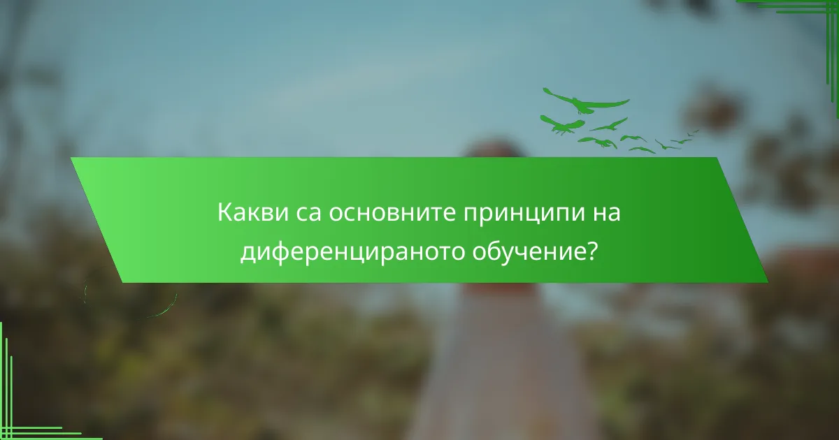Какви са основните принципи на диференцираното обучение?