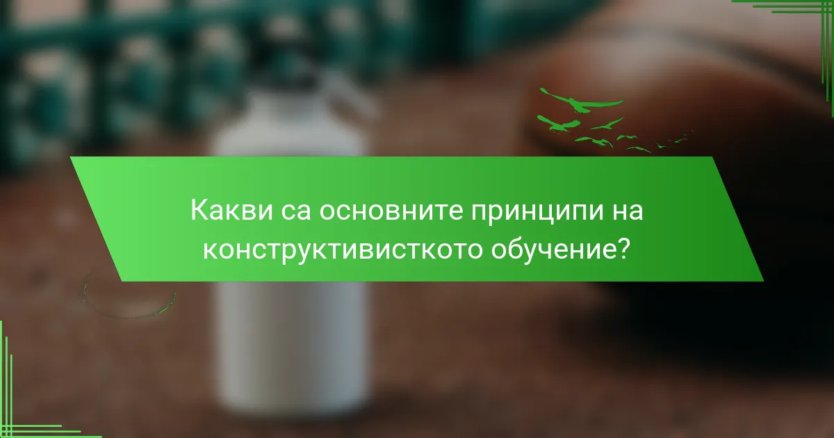 Какви са основните принципи на конструктивисткото обучение?