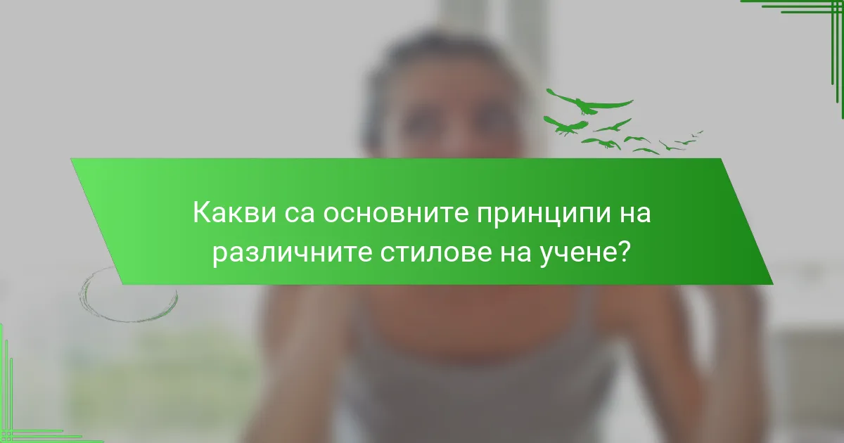 Какви са основните принципи на различните стилове на учене?