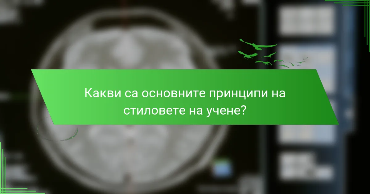 Какви са основните принципи на стиловете на учене?
