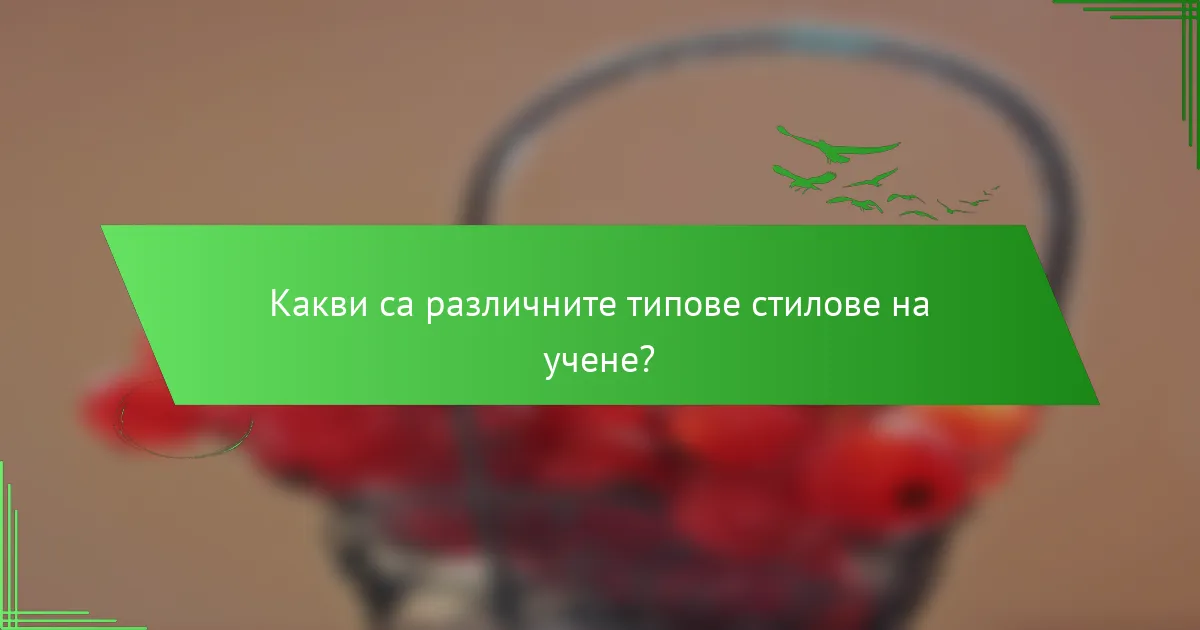 Какви са различните типове стилове на учене?