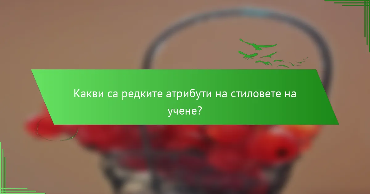 Какви са редките атрибути на стиловете на учене?