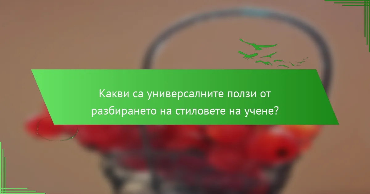 Какви са универсалните ползи от разбирането на стиловете на учене?