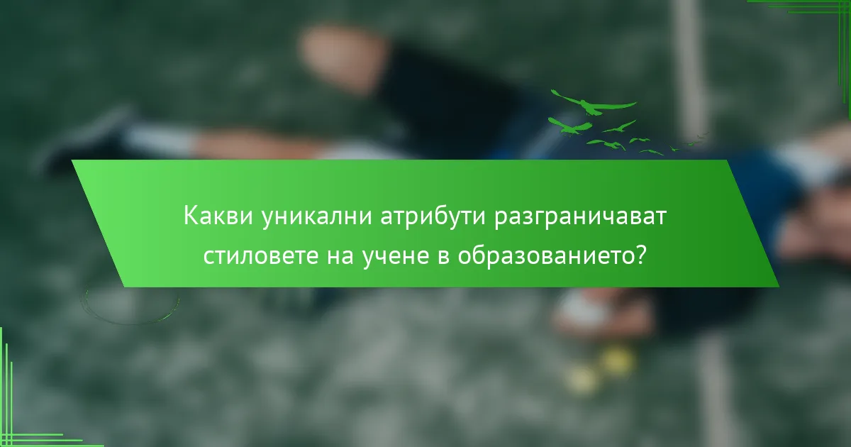 Какви уникални атрибути разграничават стиловете на учене в образованието?