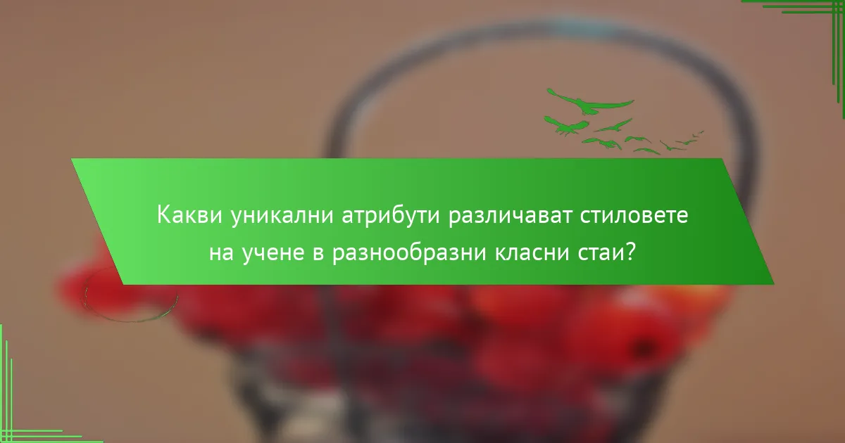 Какви уникални атрибути различават стиловете на учене в разнообразни класни стаи?