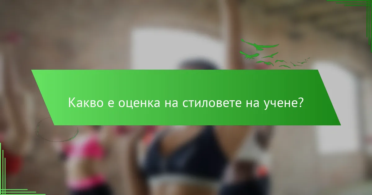 Какво е оценка на стиловете на учене?