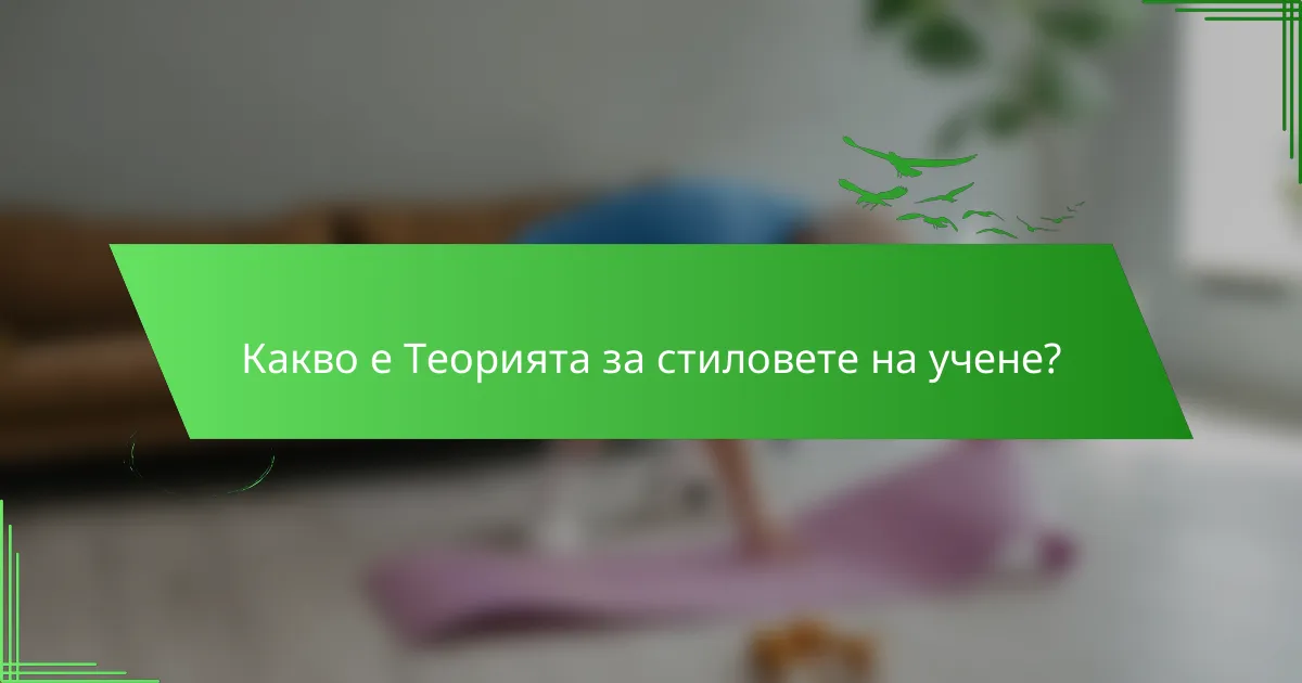 Какво е Теорията за стиловете на учене?