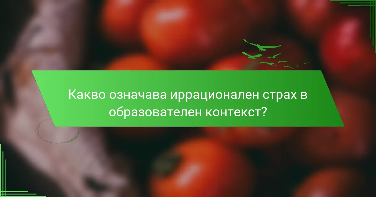 Какво означава иррационален страх в образователен контекст?