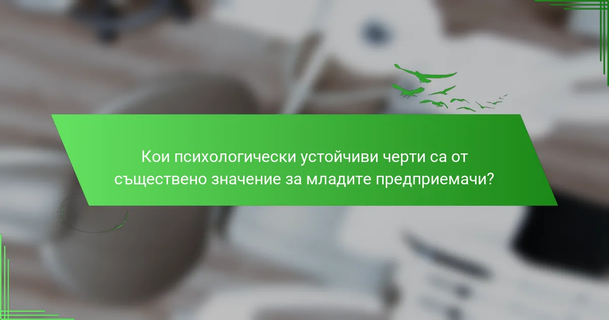Кои психологически устойчиви черти са от съществено значение за младите предприемачи?